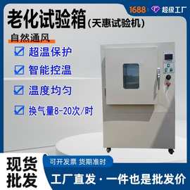 天惠自然通风热老化试验箱鼓风恒温热老化箱多功能橡塑老化实验机