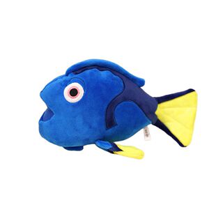 �羳��ƷEmperor angelfish ������β�~����ë�q��ߴ�����ż�Y��