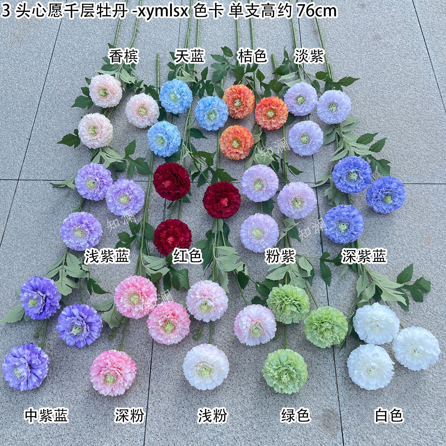 3头心愿千层牡丹-xymlsx 色卡 知澜.jpg