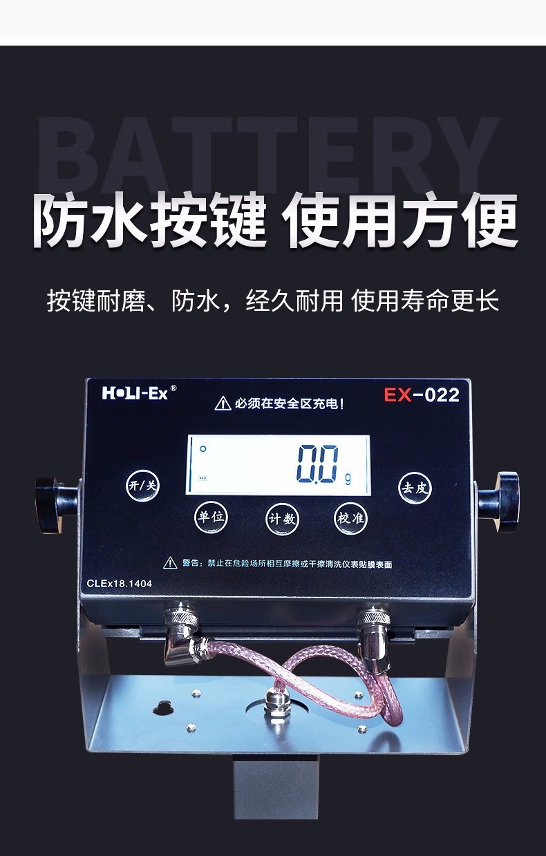 防爆电子秤