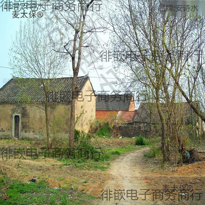 Live Broadcast Rural Background Cloth 3D Nature Wall Cloth Shooting Scene Layout Scenery Picture Installation See Description for Others