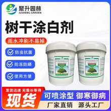 ��ɉT�ׄ��G��������x���Ո@�ָ��x���������������ľ�o�䌣��