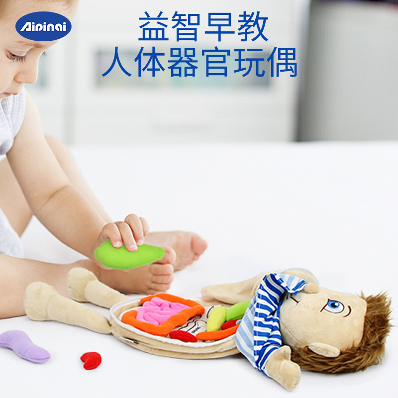 Nuevo entrenamiento de rompecabezas de estructura corporal cognitiva para niños, habilidades prácticas, cerebro, ayudas para la educación temprana de jardín de infantes, mapa de órganos