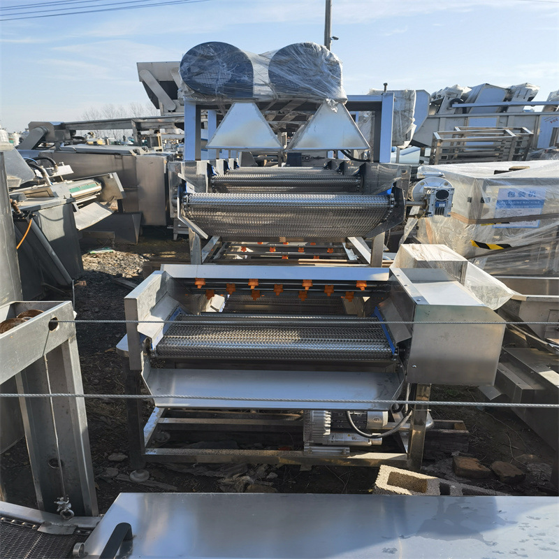 出售全自动不锈钢气泡清洗机 果蔬气泡清洗机 多功能瓜果清洗机