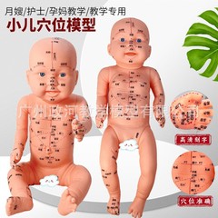 全身のツボの人形の経絡の漢方医の小児はマッサージをマッサージします。