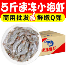 �ك����r�r���r�r��������r�������r���r�r�ǻ����r�����