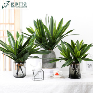 ����󻨻��m�~ ��c�Ҿ��b��m���~����ֲ�����Բ廨���l�羳