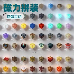 我的方块世界磁力磁吸MC人仔男孩搭建儿童益智拼装积木玩具礼物