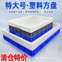 �ش�̖�������D���ռ{�����z���L���κ�ʳƷ�P������\�P؈ɰ�P