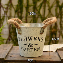 多肉花盆 铁艺创意个性桌面植物装饰花桶花器 室内阳台绿萝吊兰盆