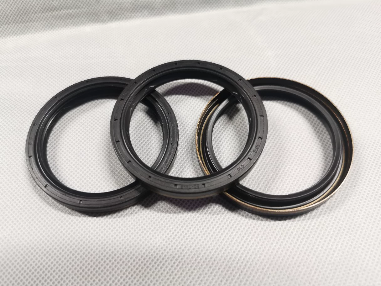 02M301189B 02M 301 189G 02M301189L Langyi Bora уплотнительное кольцо для уплотнения полоси