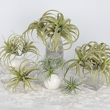 仿真空气草凤梨多肉植物空气草绿植墙面装饰老人须松萝假花沙漠花