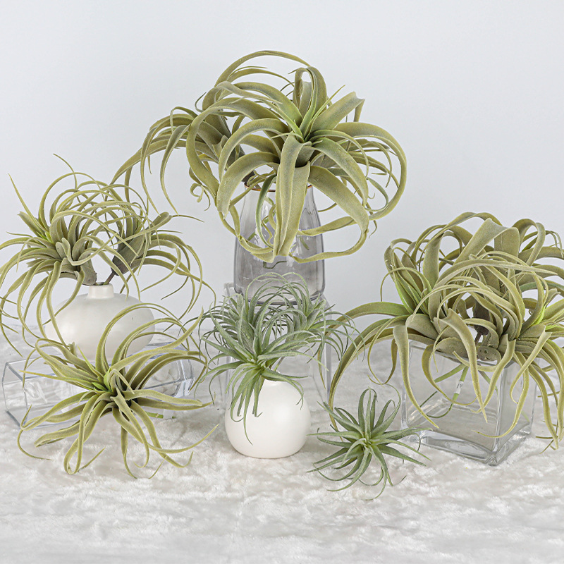 仿真空气草凤梨多肉植物空气草绿植墙面装饰老人须松萝假花沙漠花