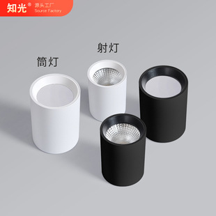 Surface-Mounted Downlight Spotlight Led Ceiling Light Without Opening Hole Household Round Ceiling-Mounted Entrance Walkway Bedroom Without Main Light
