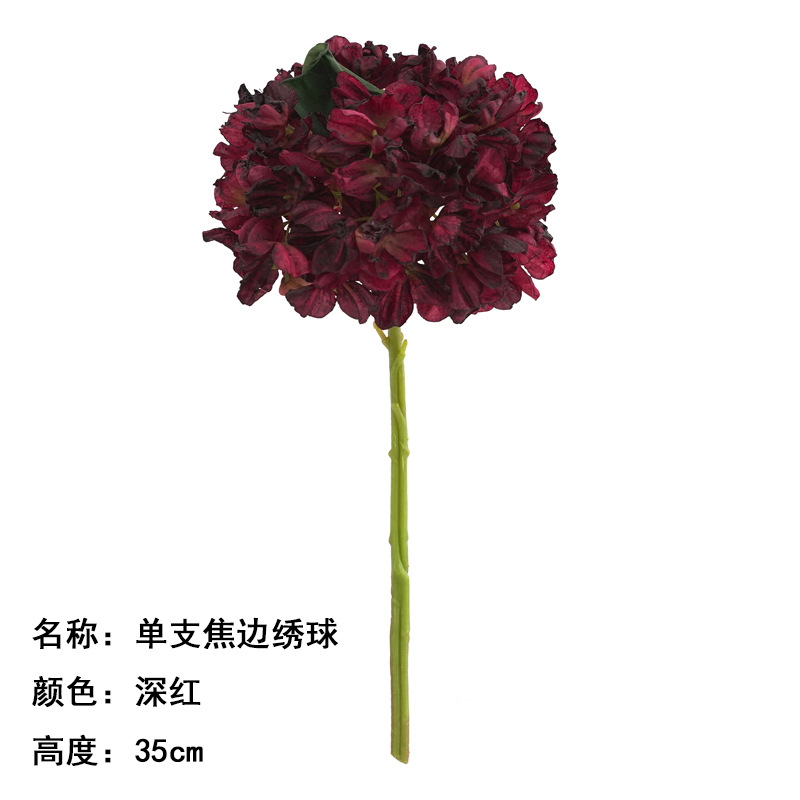 single coke-edged hydrangea crimson