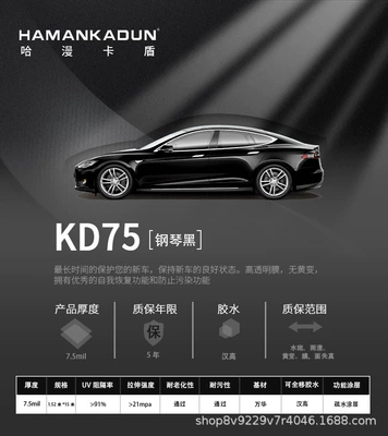 Paint Surface Protective Film, Car paint protective film - kd75-1524-1505m