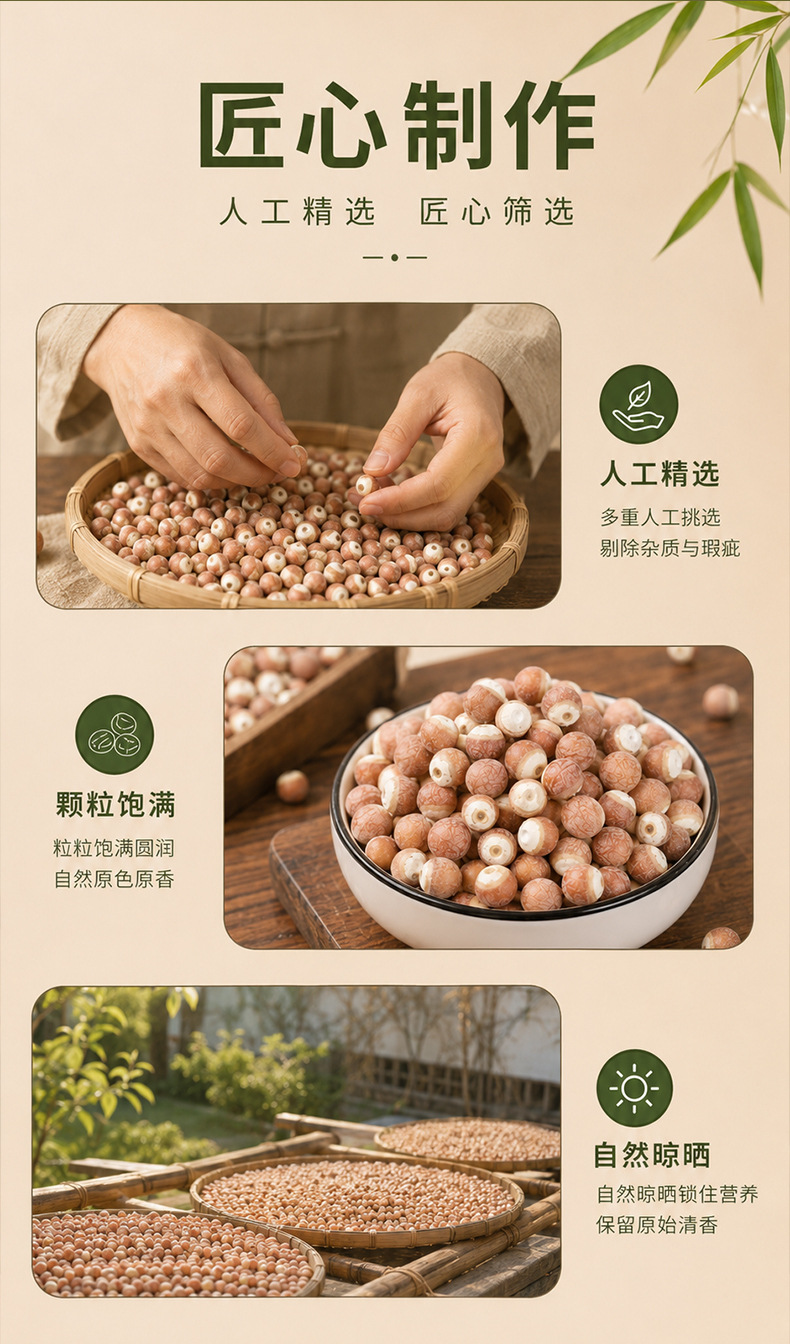 Organic Dried Gorgon Fruit Qian Shi 12mm Red Skin Euryale Seeds for Soup Congee and Four Spirits Decoction 250g key features