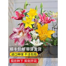 MˮٺϻNԻܾGֲ҃ͥԺذ̨NӶ༾_