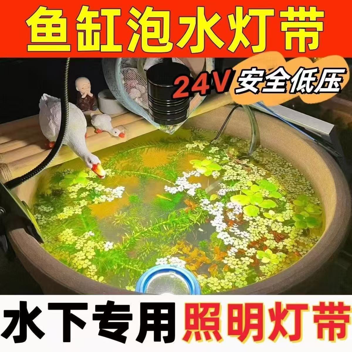 LED solid silicone waterproof light strip low voltage 24v self-adhesive cuttable outdoor engineering underwater soft light strip
