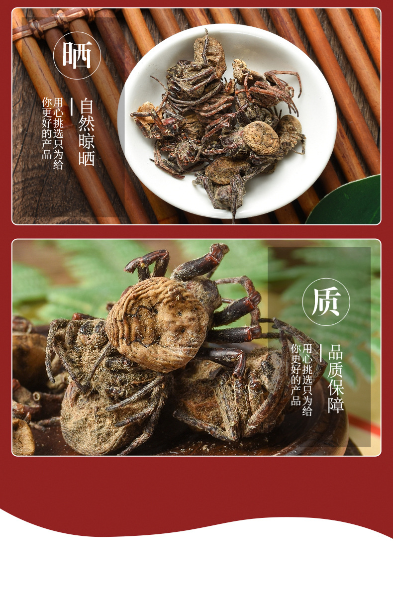 Black Spider Dried Herb (Hei Zhi Zhu) — Traditional Chinese Medicinal Spider, 500g quality and texture