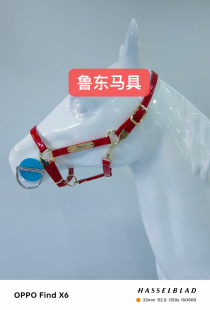 ��Ƥ�R�\�^���R�\�^��Ƥ�������׿��{���\�^���R���^