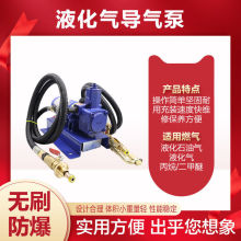 批发12v液化气泵倒气泵24伏丙烷充气泵车载小型气泵220v液化气导