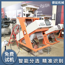 分选去杂粮食作物色选机高清识别货源充足