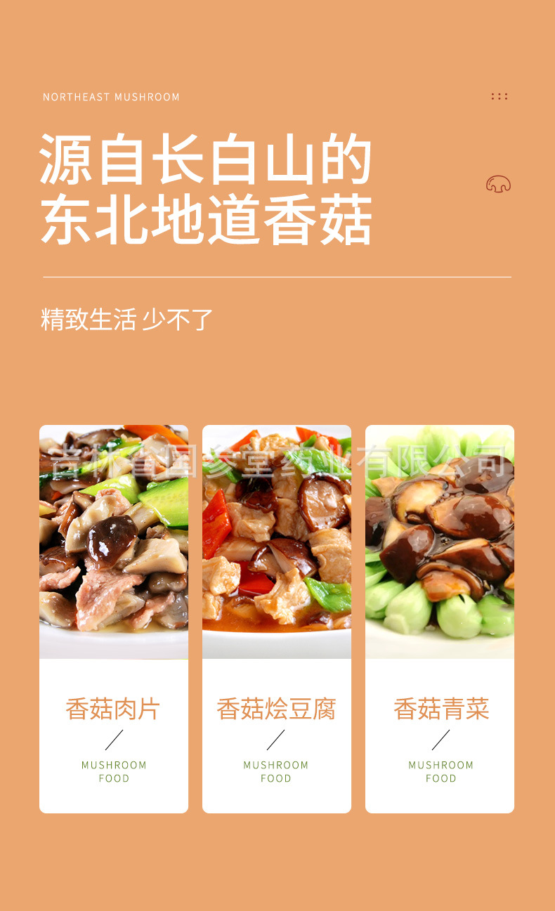 香菇_11.jpg