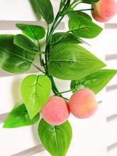 ���l���lˮ���ٗl�����~�ٻ�������픻��ٿ��{�ܵ��bGֲ��