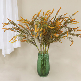 ������β��ëë�ݹ����b������K�ݻ�c�zӰ�������z���ٻ��羳