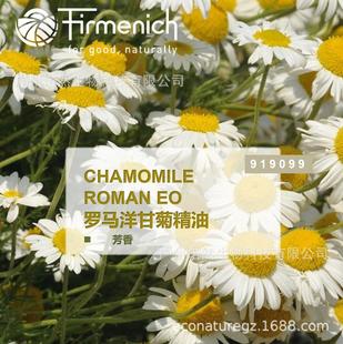 �������⡿CHAMOMILE ROMAN EO �_�R��ʾվ���