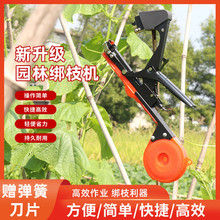 �¿֦�C�S�Ͻ��������Ѱ�֦�C���������t����֦�������C�����C