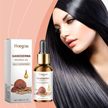 HOEGOA �o�l���A�� ���B�^�l����B�o���o��lë�l�o������