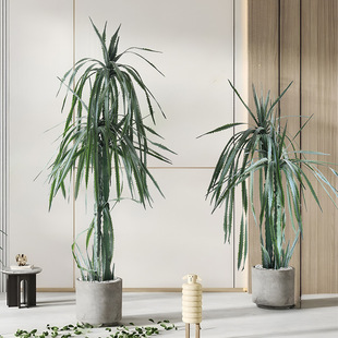 Simulation Green Plant Indoor Floor Decoration Potted Fake Plant Light Luxury Psand Plant Agave Large Bonsai