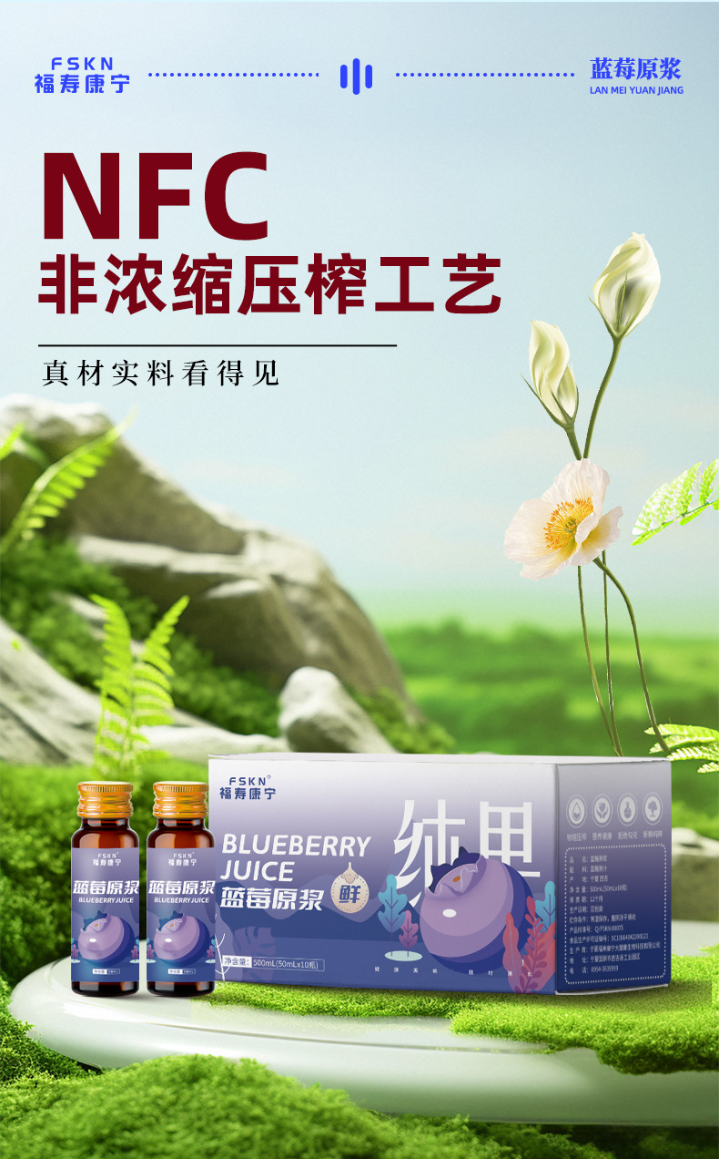 Blueberry Puree Juice Concentrate 50ml Bottle 100% Fresh Fruit Extract Herbal Drink quality and texture