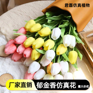 ����PU��������滨�ָб���ٻ��Ҿӿ͏d�[���羳���N���Sֱ��