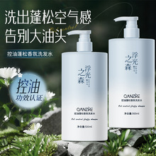 新品批发倩滋控油蓬松香氛洗发水清爽洁净头皮水油平衡留香洗发露