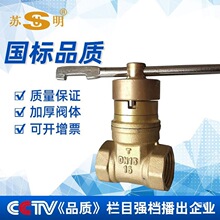 蘇明品牌 磁性鎖閉閥DN20 加密防盜帶鎖閥 黃銅絲扣磁性閉鎖閘閥