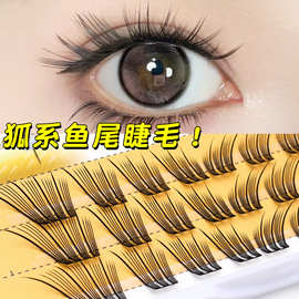 韩国化妆师同款U型女团爱豆假睫毛ACE斜飞狐系分段式鱼尾自然仿真