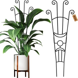 �羳 ����W��ֲ��֧�� �Gֲ������ ɽ�������ټ܈@ˇ֧�μ�