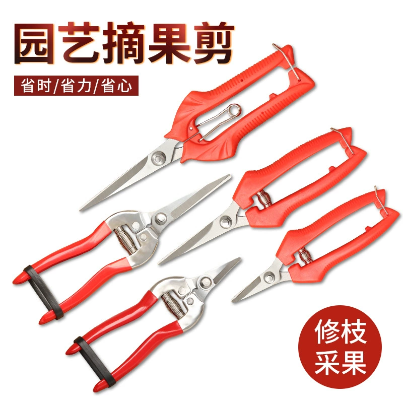 Jianzheng апельсиновые ножницы для резки фруктов