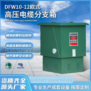 DFW10-12 European high voltage cable branch box 10KV cable branch box one in two three four out T pair transfer