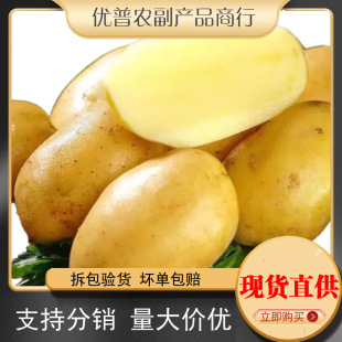 ���ո��C��������5̖��ϣɭ6̖�������]�a��ֱ�l����һ�����l