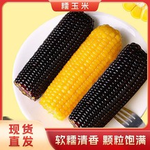 Ŵ�������r������������׵�֬������հ��bܛŴ����������װ�