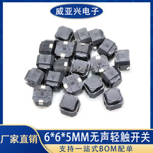 o_P6*6*5mm p|zIoU_ N_NƬ ˮ΢_P