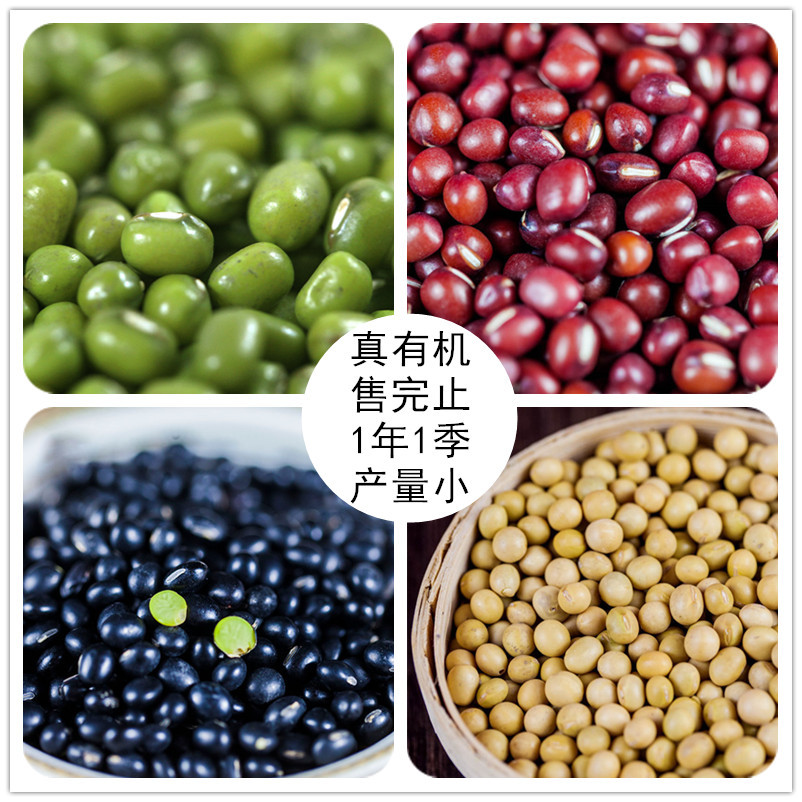 四色五谷悦意有机绿芯黑豆黄红绿黑土优品杂粮煲粥醋泡榨豆浆磨粉