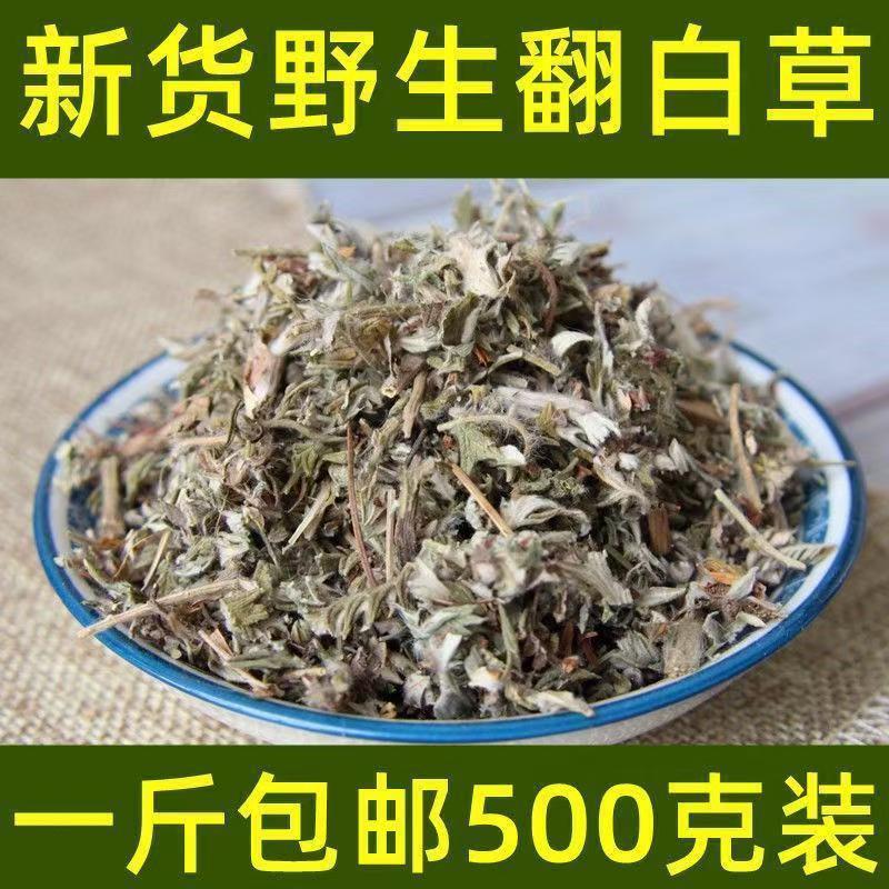 Fan Bai Cai Dried Potentilla Herb 500g Natural Sun Dried Raw Herbal Tea Material key features