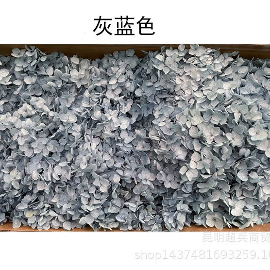 [Вечная Life Flower Hydrangea] Анна Градиентный цвет Лист Hydramid Книга цветов оптом DIY цветочная коробка материал для просмотра