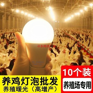 LED���ܟ����u�Bֳů���B�u�B�������S��E27�����ڼ��Ü������ݟ�