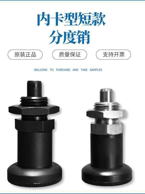 推荐旋钮柱塞螺栓分度销复位自锁定位弹簧销SXPKNSXPAN/GN6072020